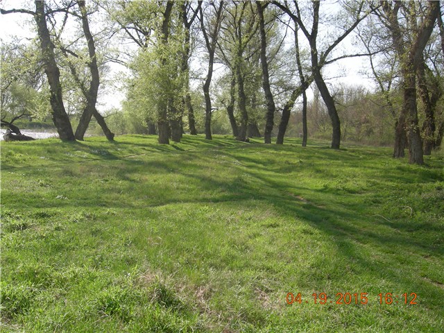 arčilend